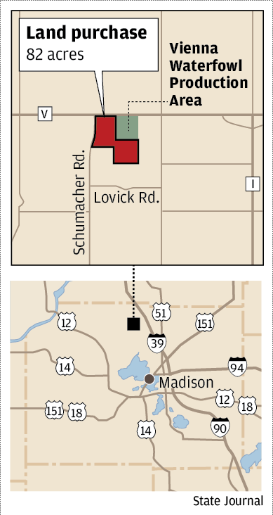 Land purchase